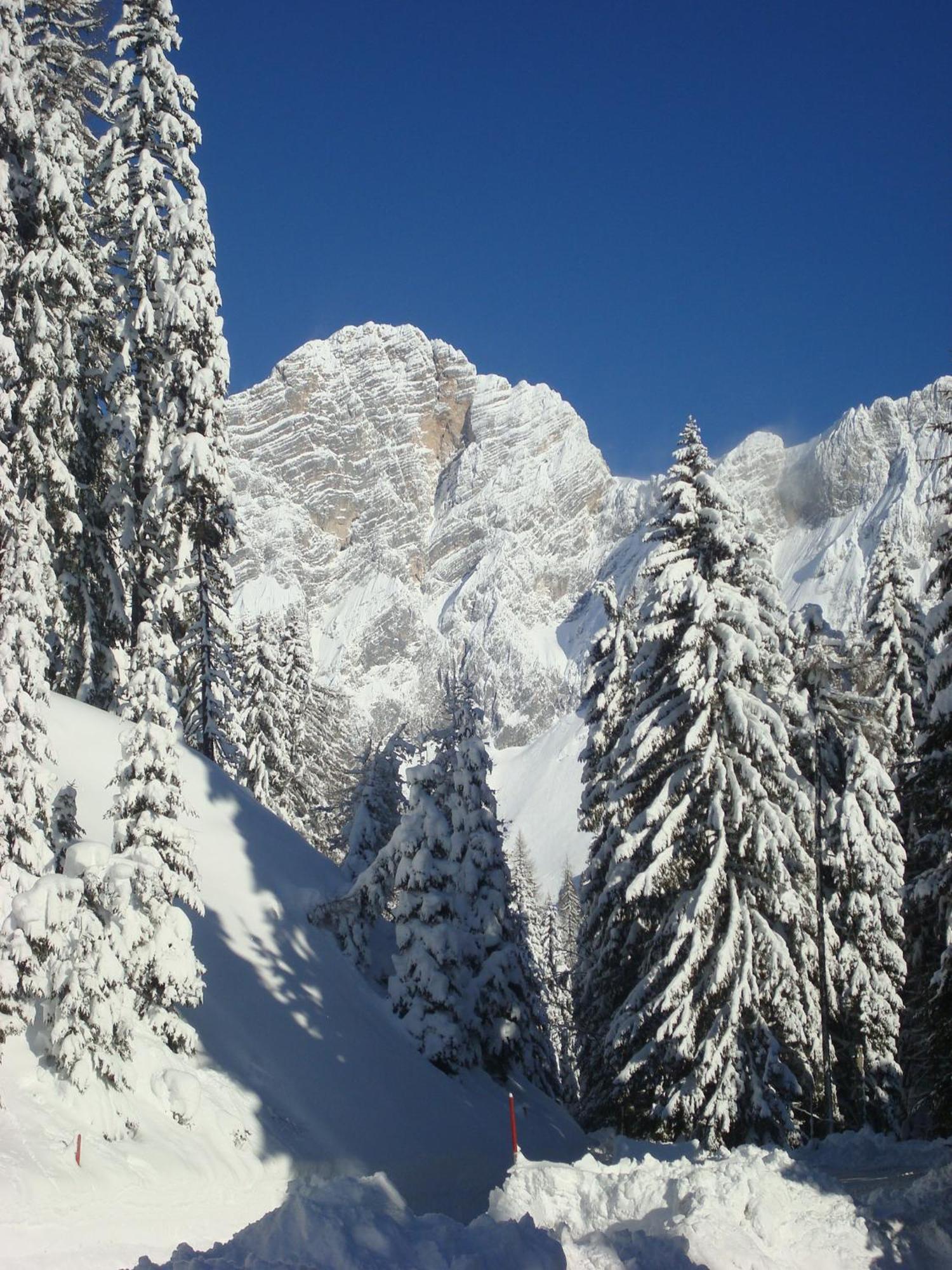 Hotel Bergerhof Ramsau am Dachstein Esterno foto