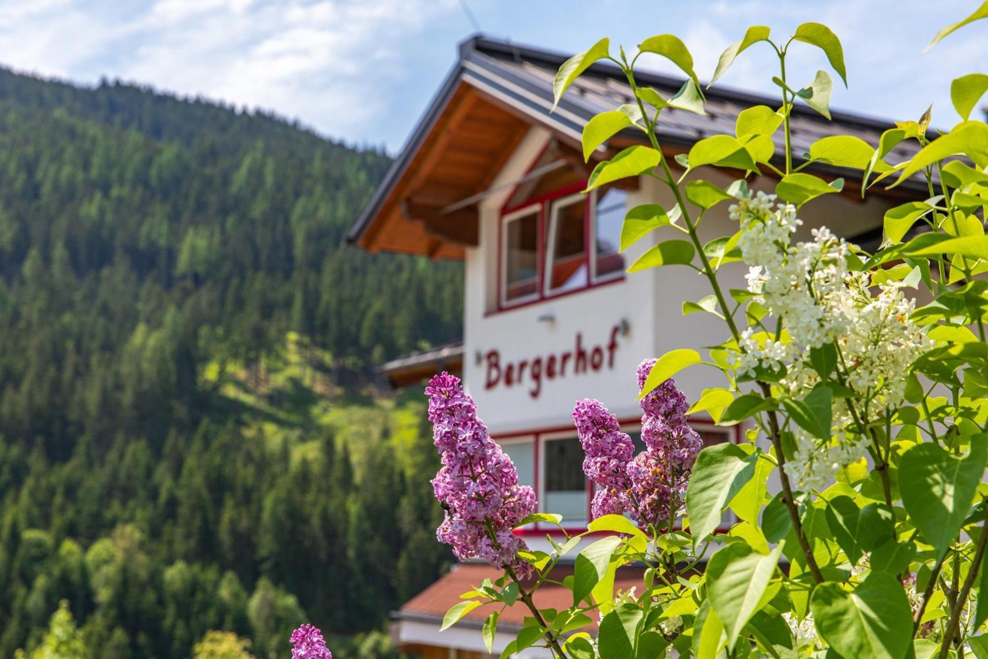 Hotel Bergerhof Ramsau am Dachstein Esterno foto